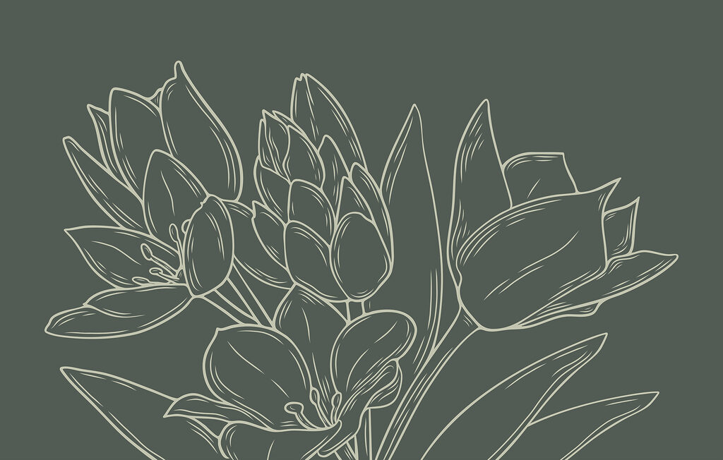 Disegno di fiori su una pianta Disegno di fiori su una pianta