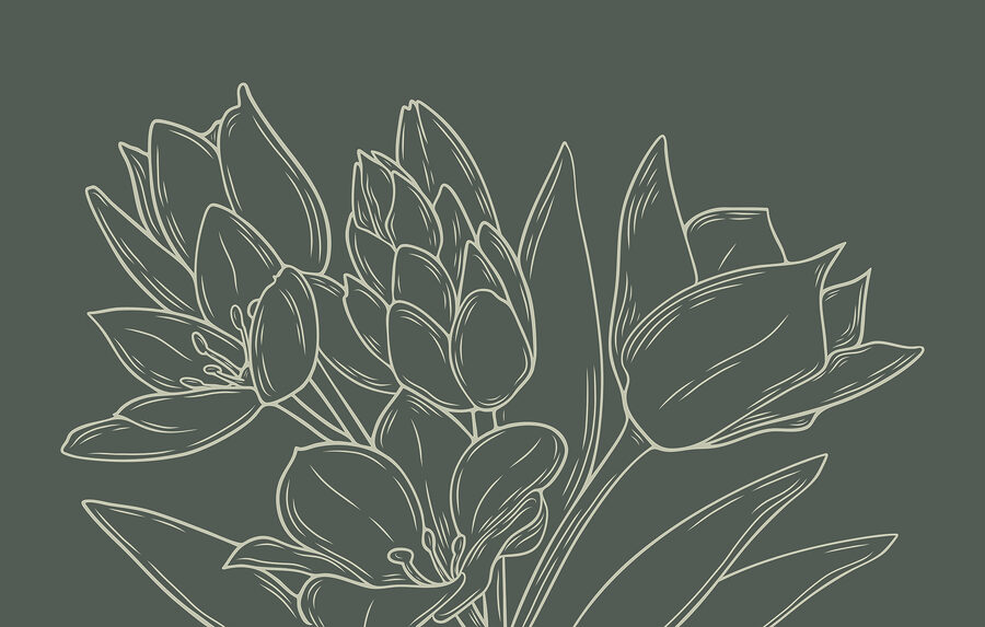 Disegno di fiori su una pianta