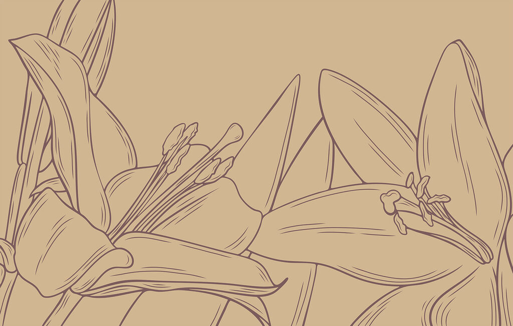 Disegno di un fiore Disegno di un fiore