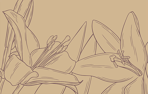 Disegno di un fiore Disegno di un fiore