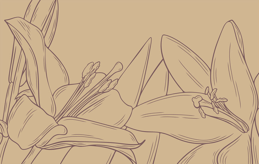 Disegno di un fiore