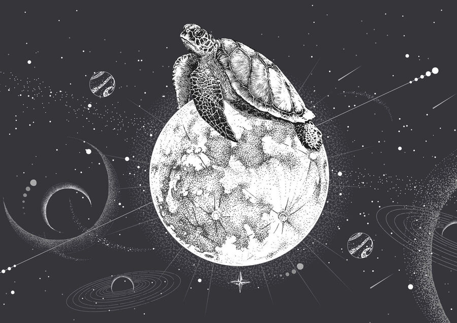 Tartaruga sulla luna