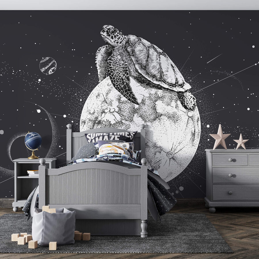 Tartaruga sulla luna