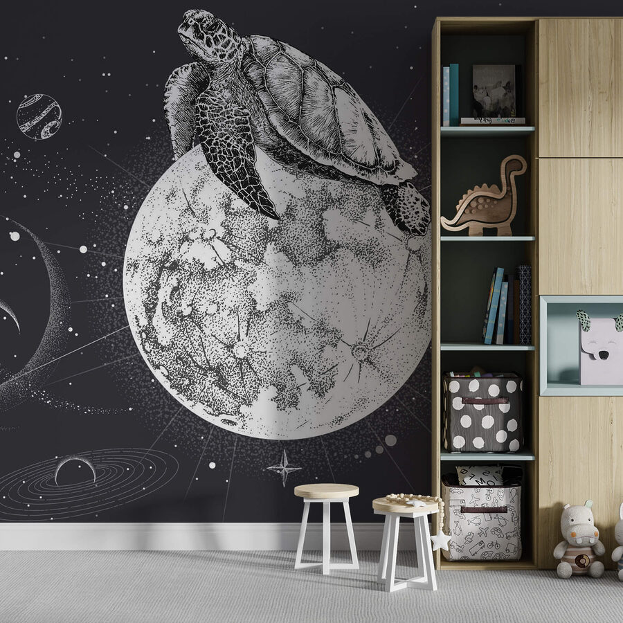 Tartaruga sulla luna