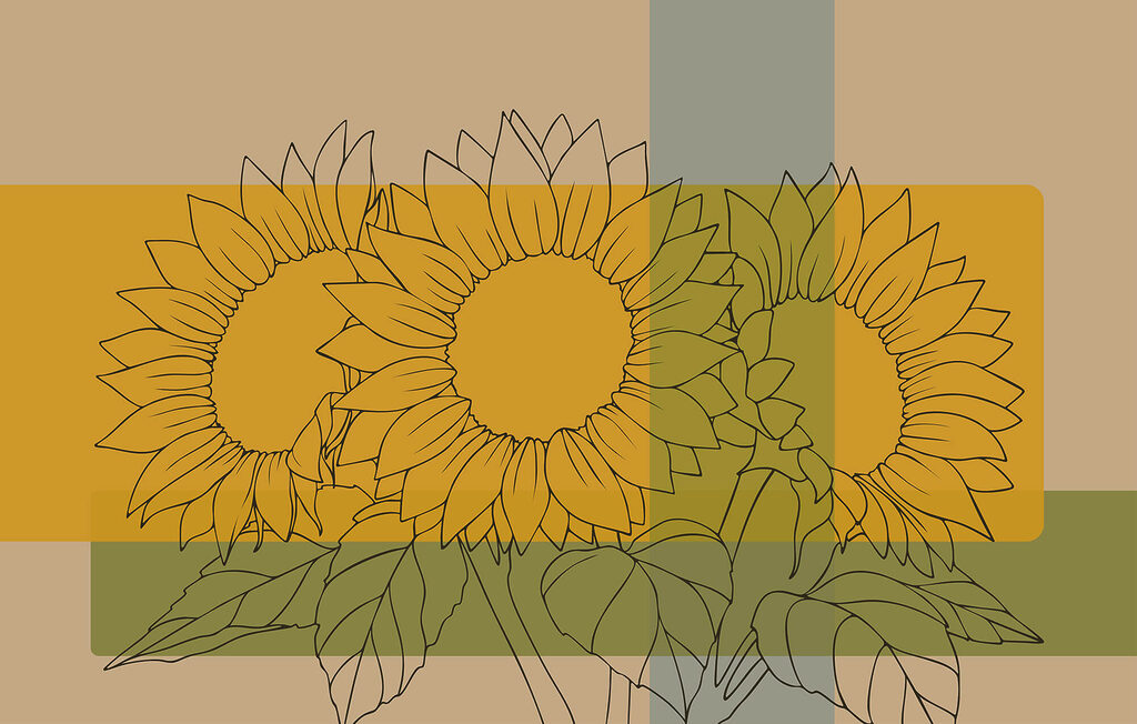 Murales Gruppo di girasoli con foglie Murales Gruppo di girasoli con foglie