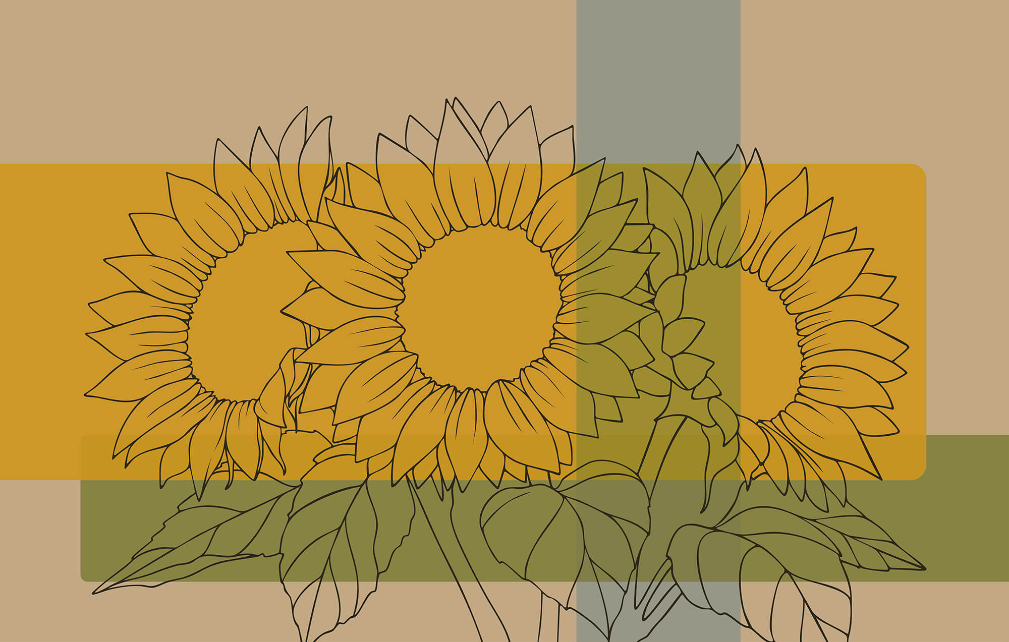 Group of sunflowers with leaves