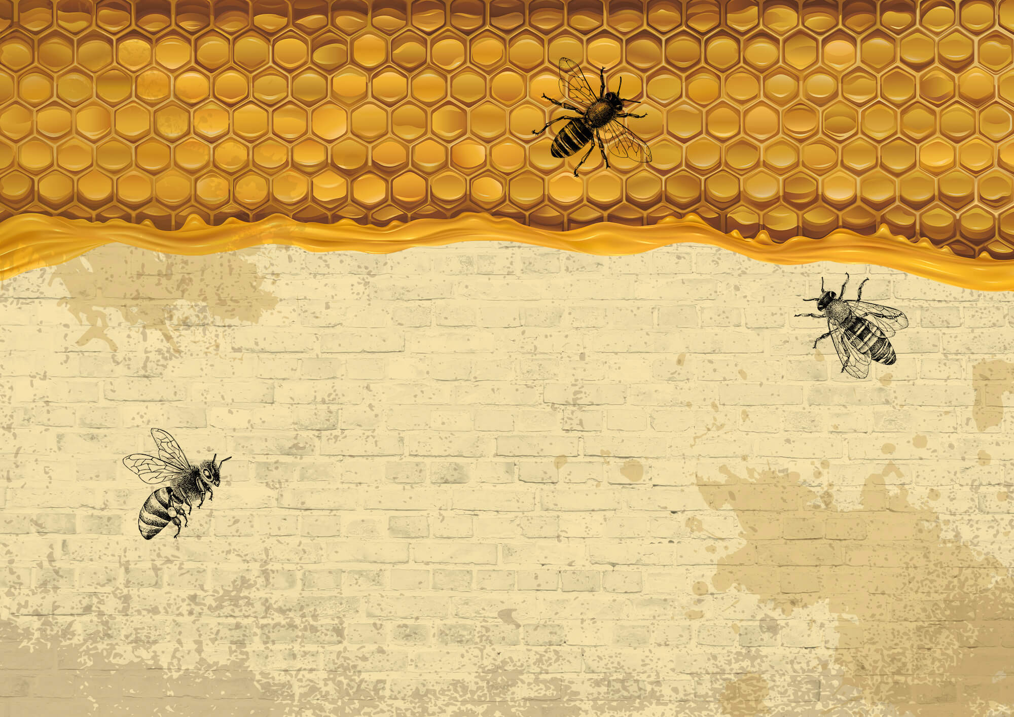 Bees on a brick wall Bees on a brick wall