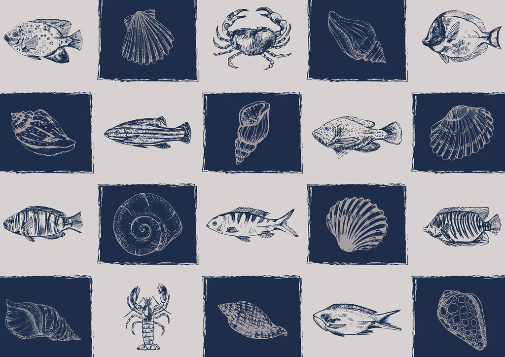 Schema di creature marine Schema di creature marine