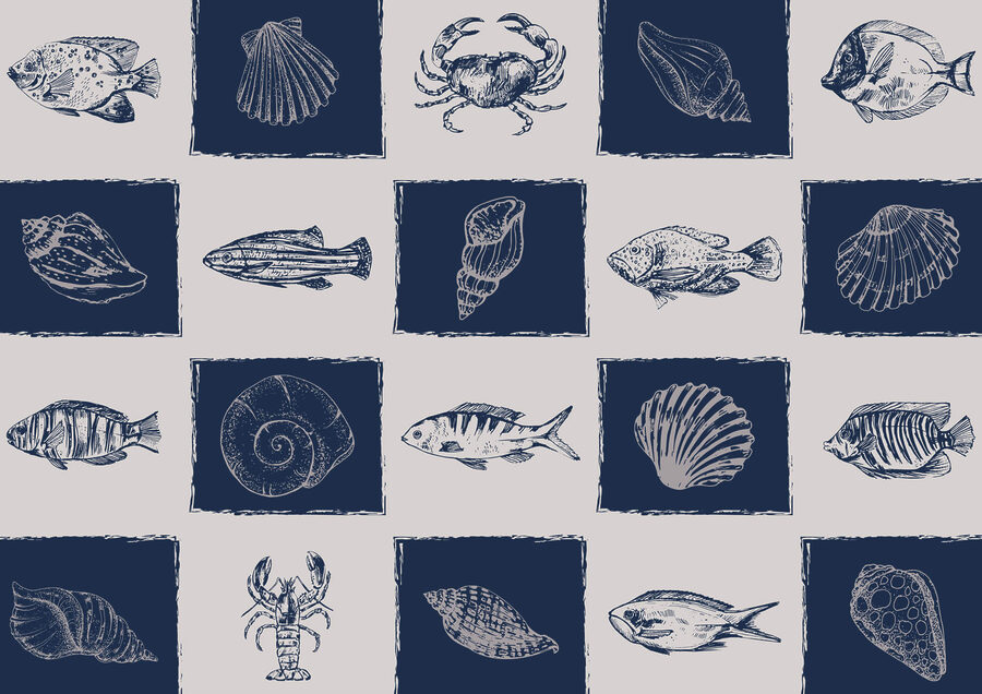 Schema di creature marine