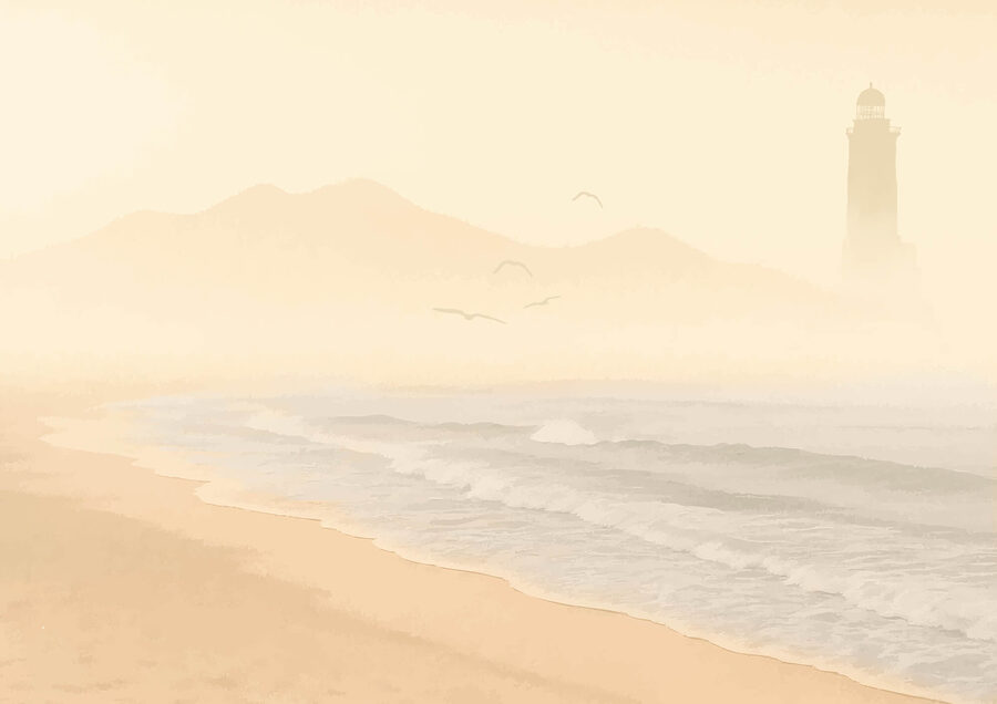 Spiaggia con onde e uccelli
