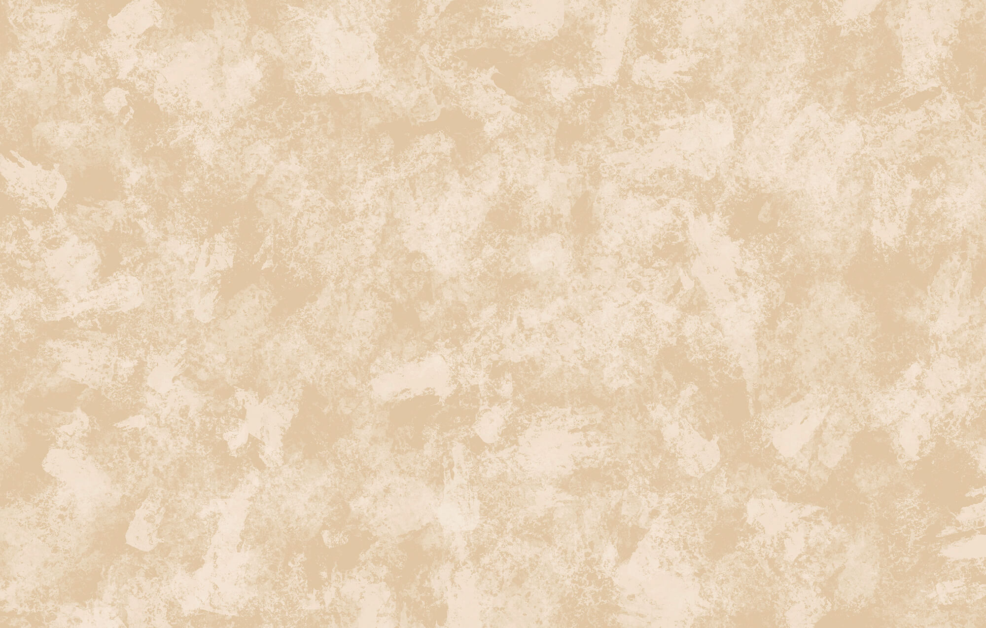 t00264p - I toni morbidi e tenui creano un'eleganza discreta - tegory