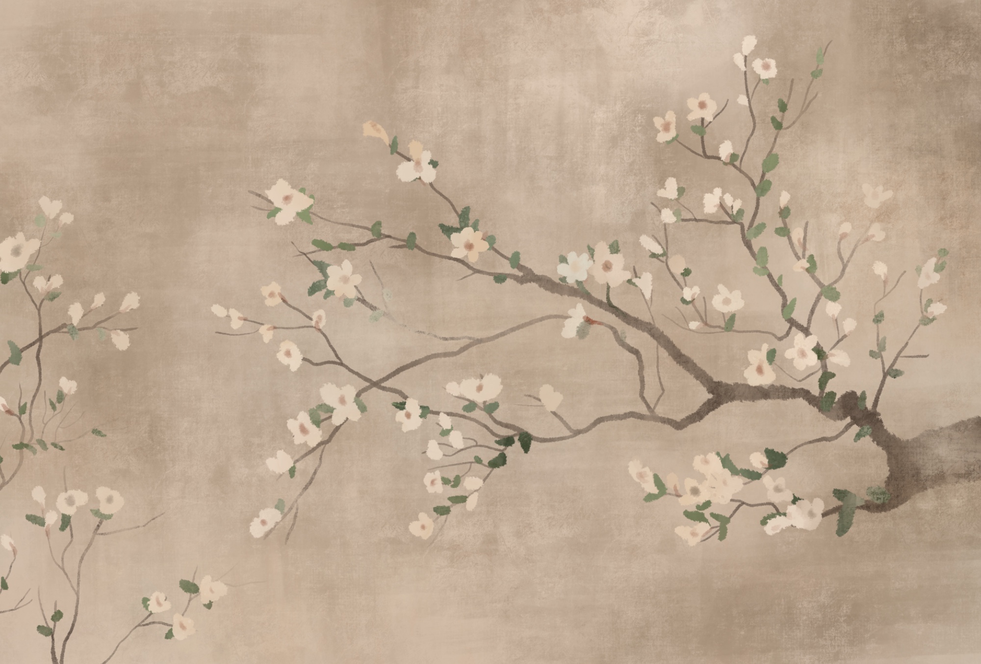 Tree branch with white flowers