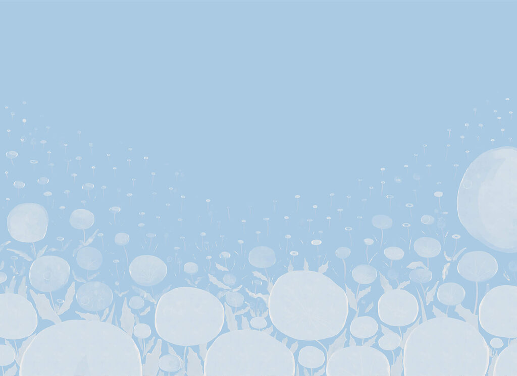 White flowers with leaves and a blue background