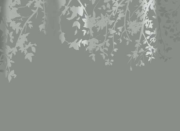 Tree branches with leaves