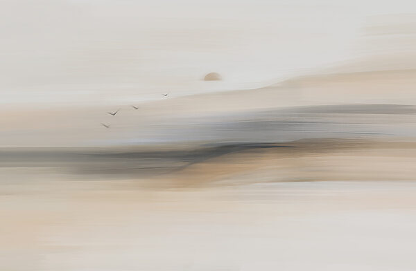 Group of birds flying in the sky Group of birds flying in the sky