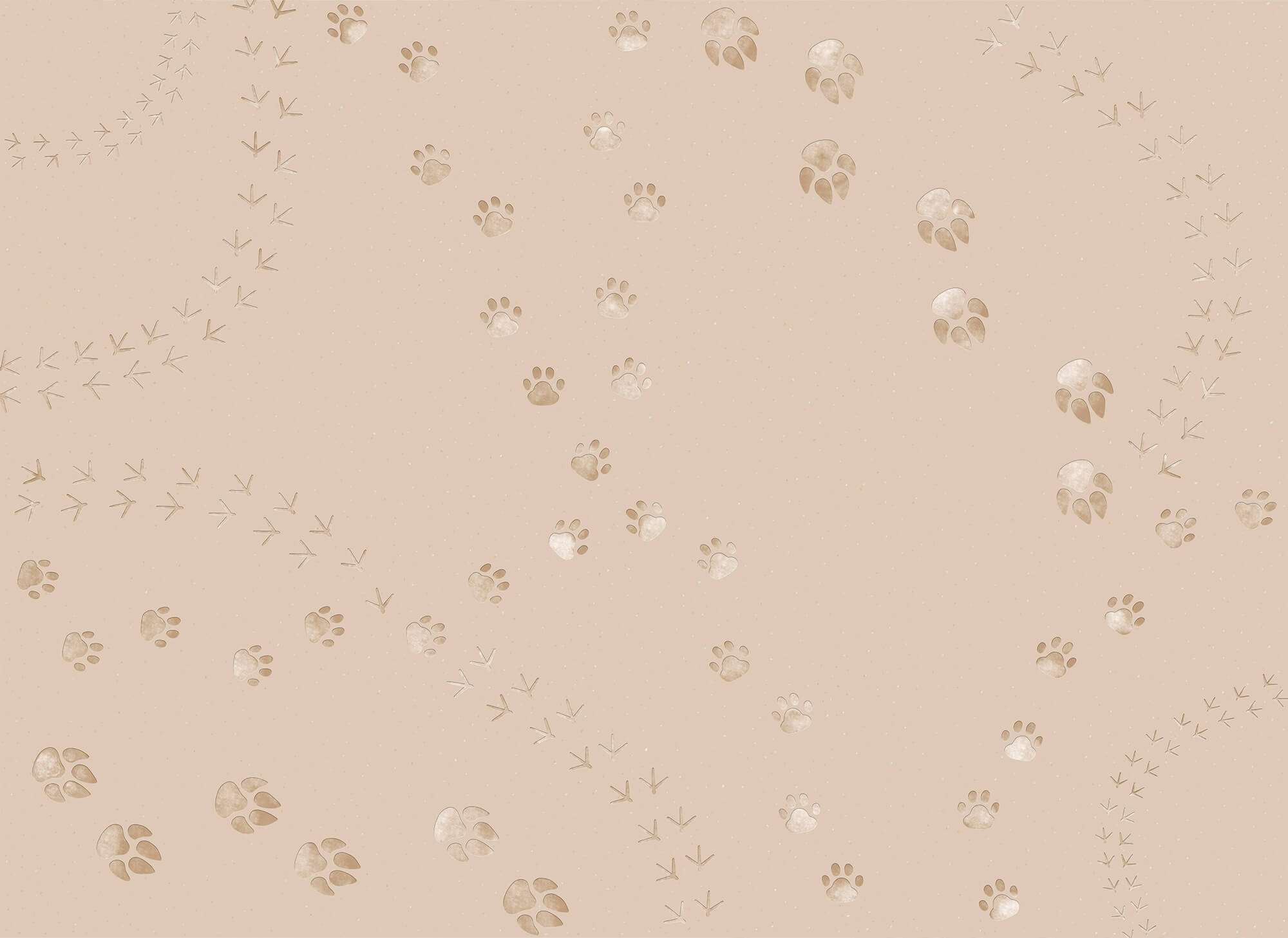 Pattern of paw prints and birds