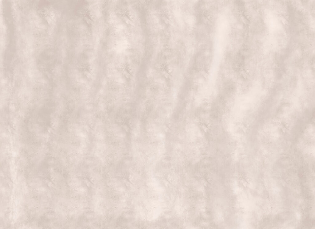 Serene and soft neutral backdrop Serene and soft neutral backdrop