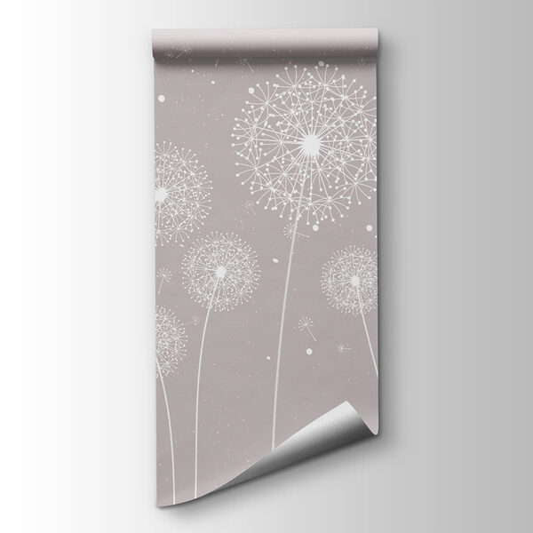 A white dandelions on a grey background
