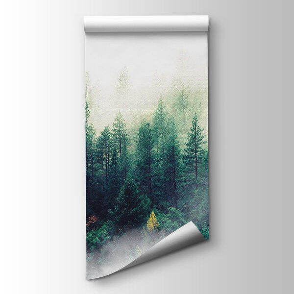 Birds flying over a forest