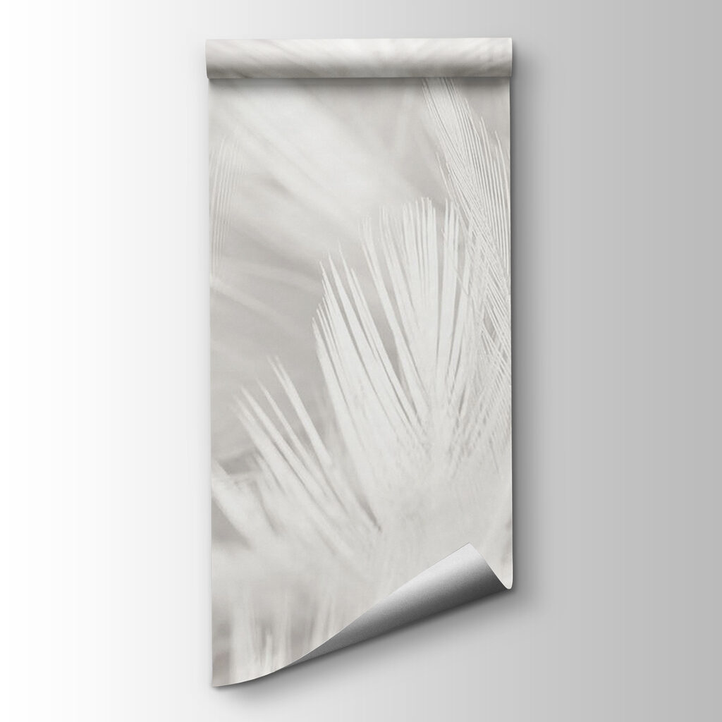 White feathers on a white surface