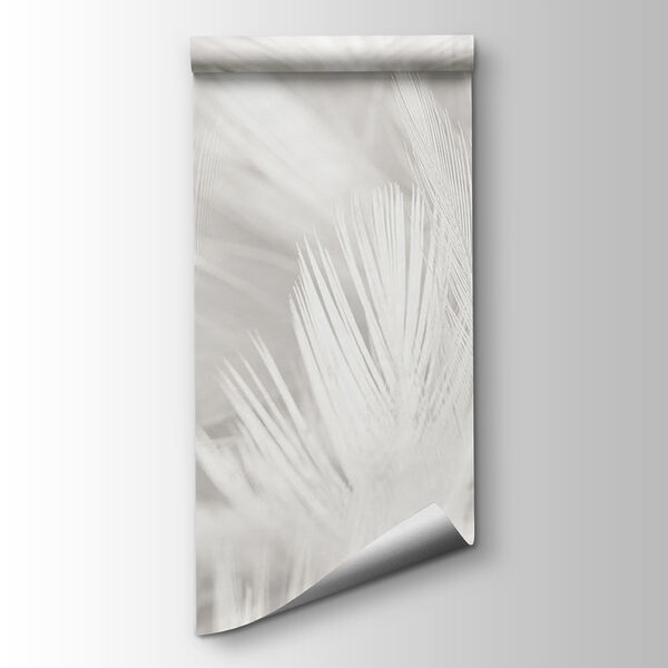White feathers on a white surface