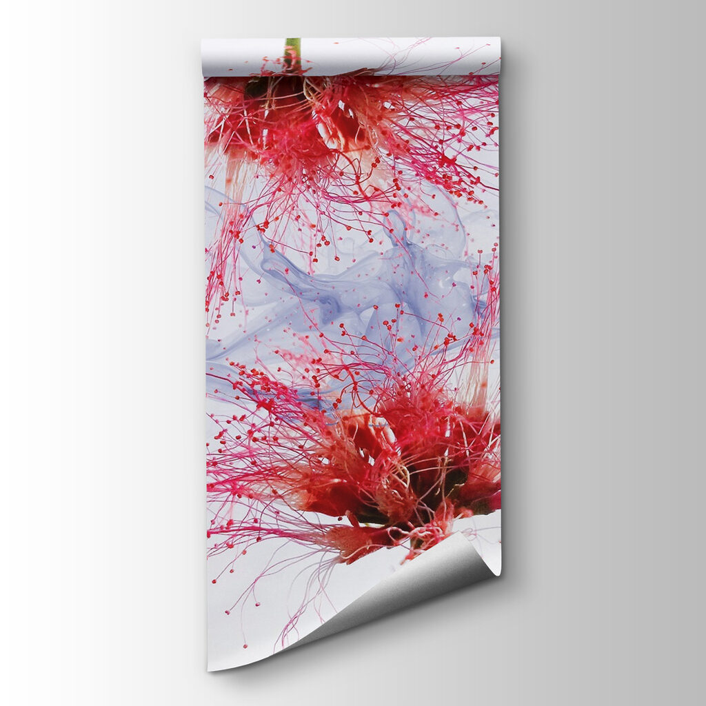 Ethereal blooms in soft colors