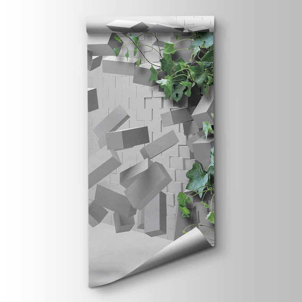 Plant breaking through a wall