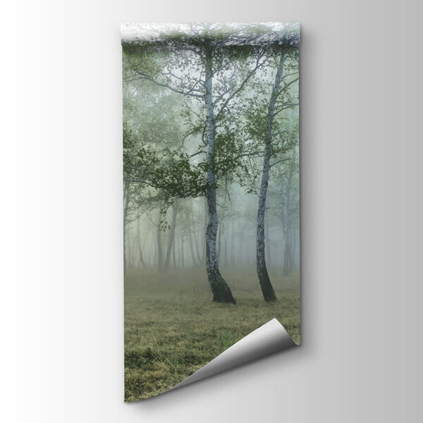 Foggy forest with trees