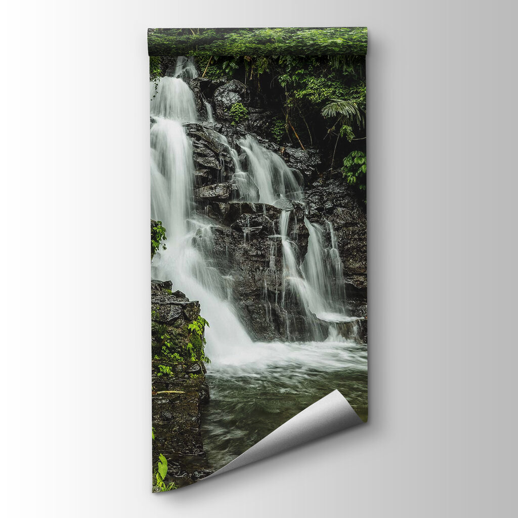 Waterfall in the middle of a forest