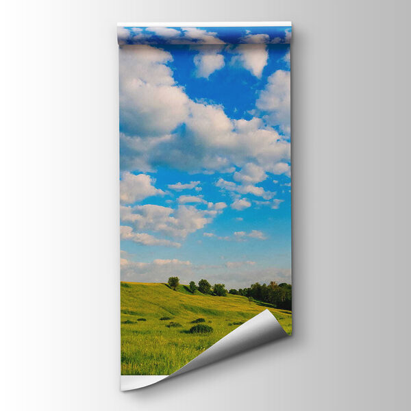 Open window with trees and grass field Open window with trees and grass field