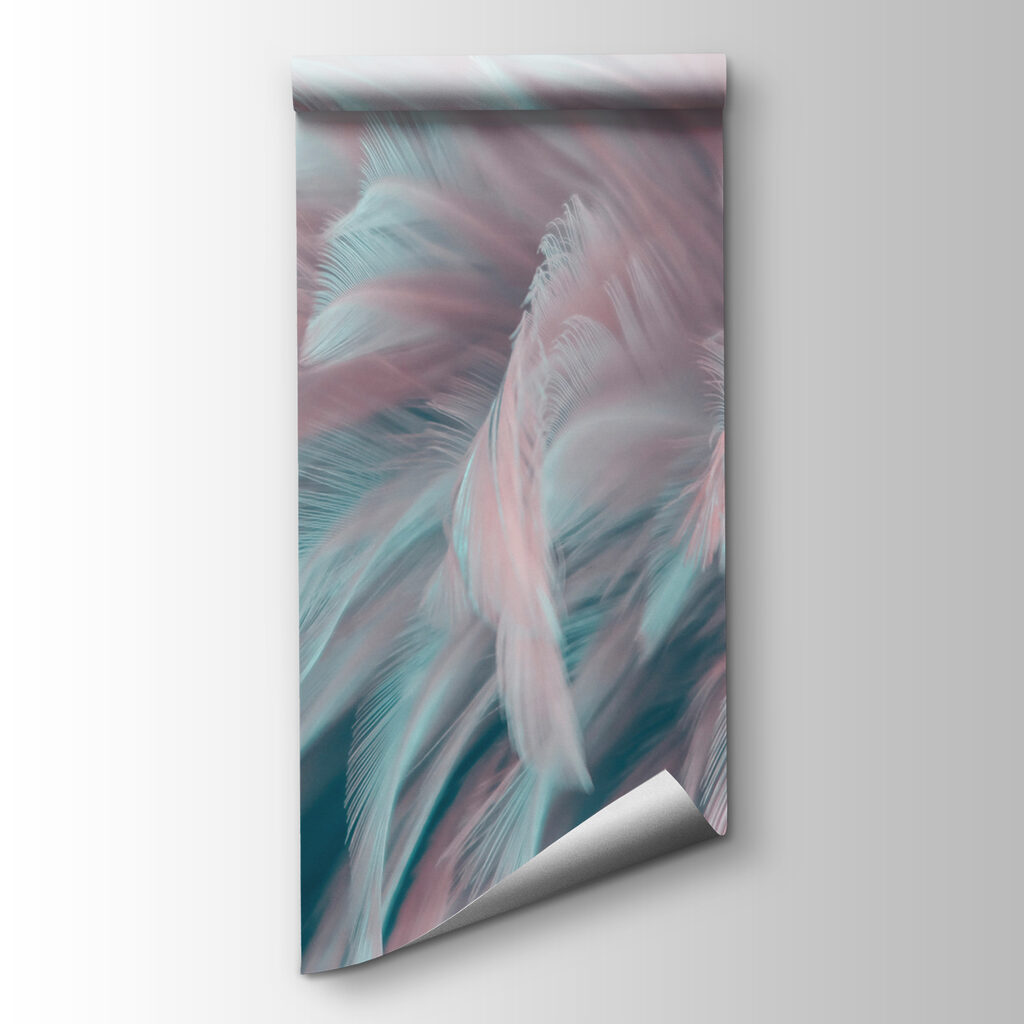 Delicate feathers in soft colors Delicate feathers in soft colors