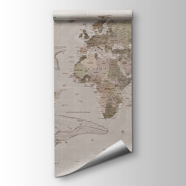 Map of the world with whales