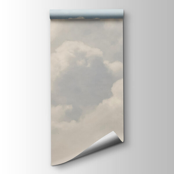 Large white cloud in the sky