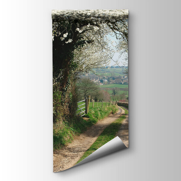 Dirt road with white flowers on it