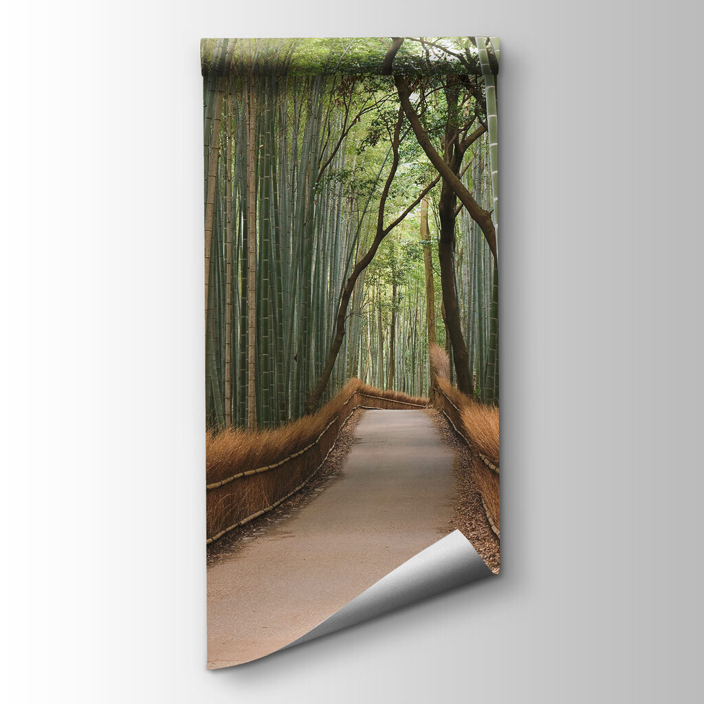 Path through a bamboo forest