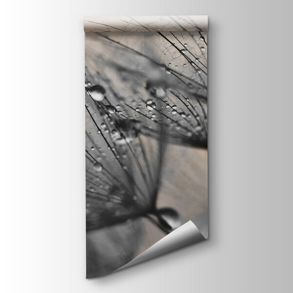 Delicate droplets on fragile petals Delicate droplets on fragile petals