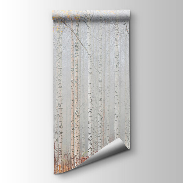 Group of trees in a forest