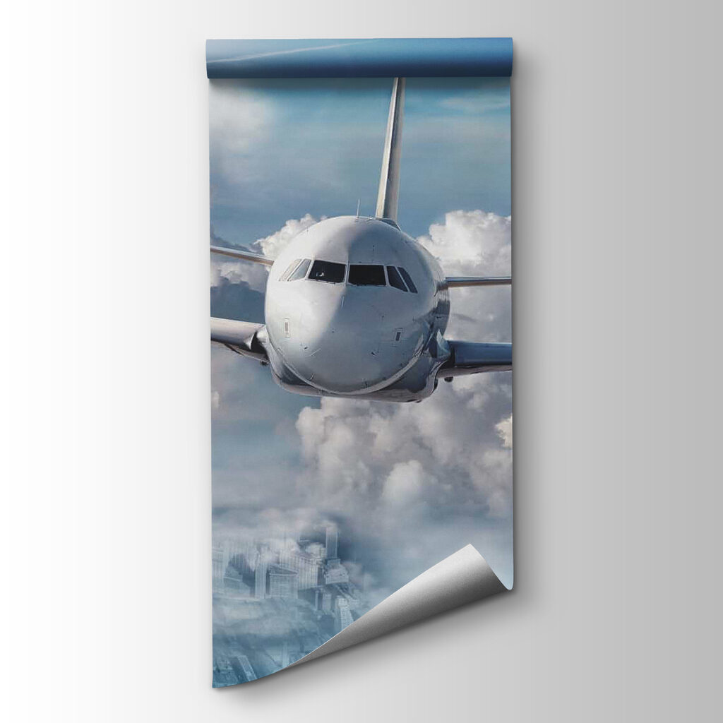 An airplane flying in the sky