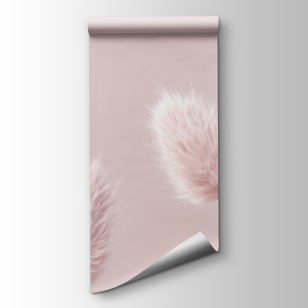 A group of fluffy pink flowers A group of fluffy pink flowers