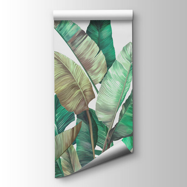 A group of tropical plants A group of tropical plants