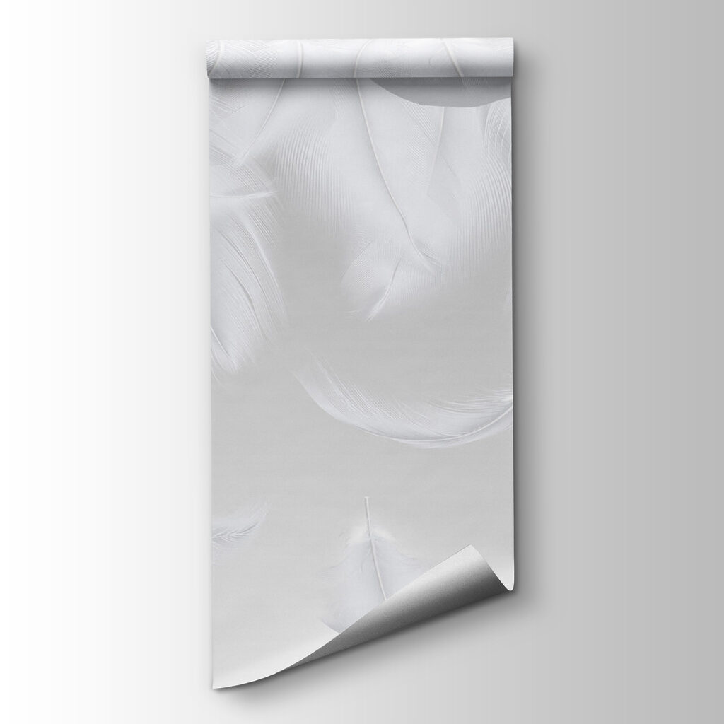 White feathers falling down White feathers falling down