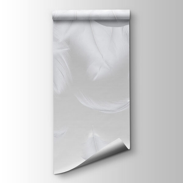 White feathers falling down White feathers falling down