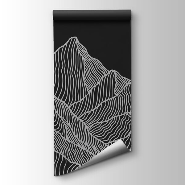 A black and white mountain range A black and white mountain range