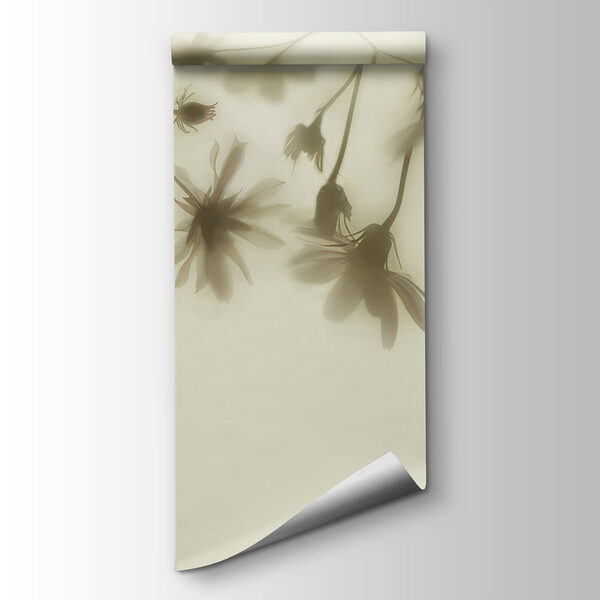 Group of flowers on a white background