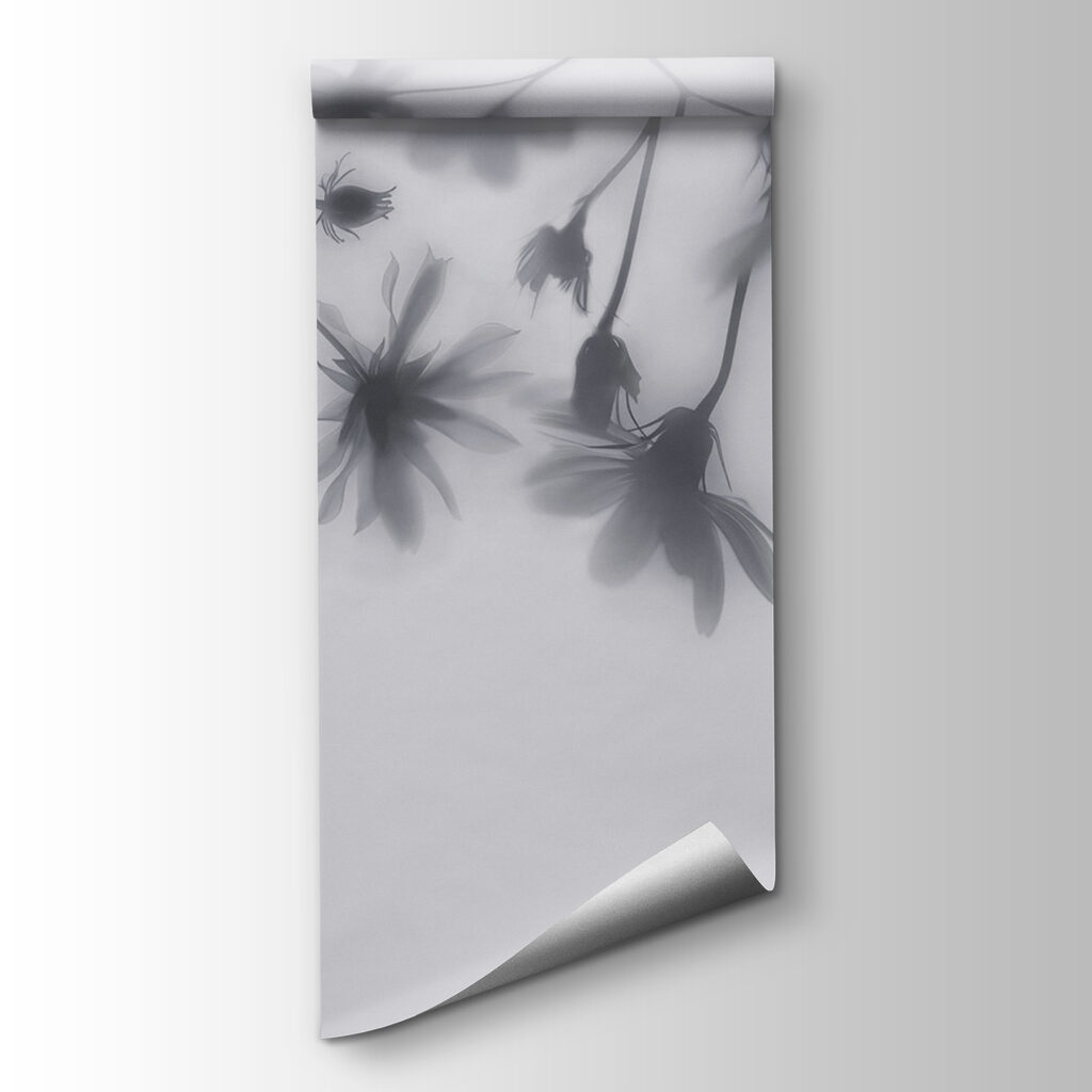 Group of flowers on a white background Group of flowers on a white background