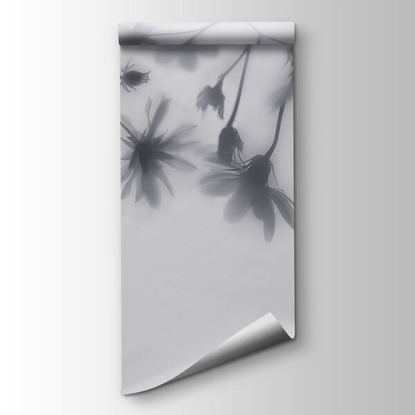 Group of flowers on a white background Group of flowers on a white background
