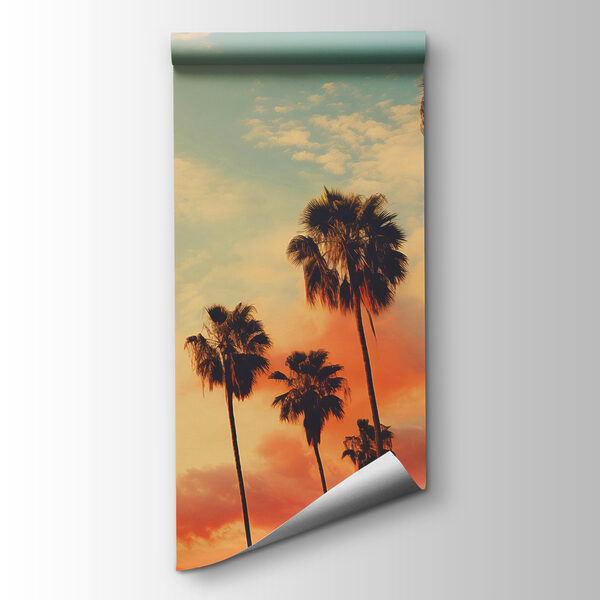 Group of palm trees against a sunset