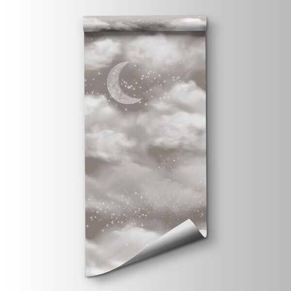 Moon in the sky