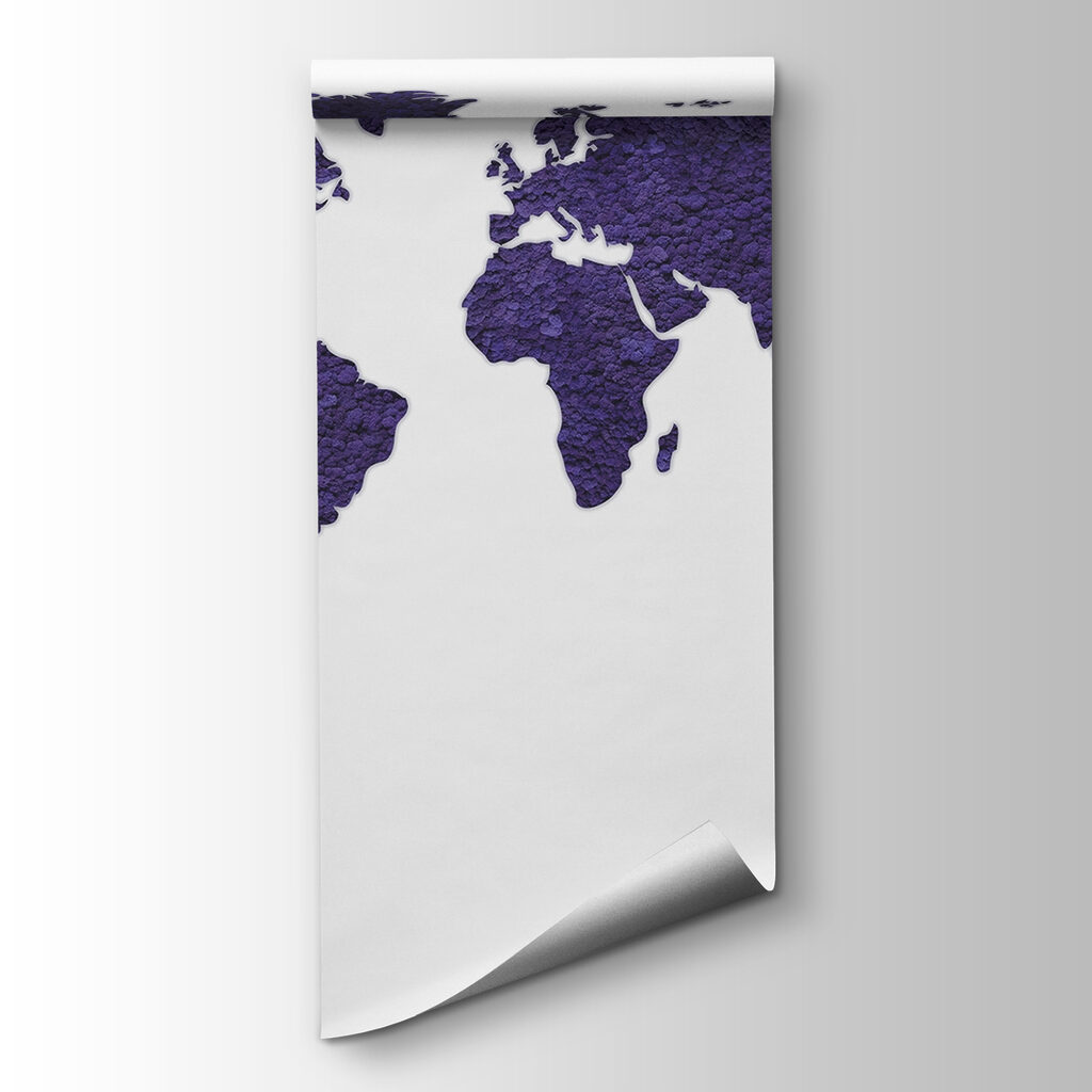 Map of the world