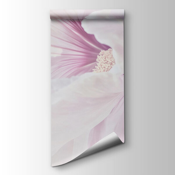 Delicate petals in soft pastel hues Delicate petals in soft pastel hues